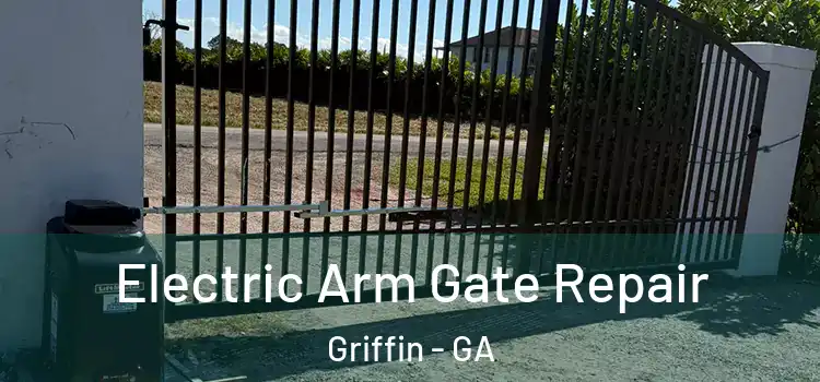  Electric Arm Gate Repair Griffin - GA